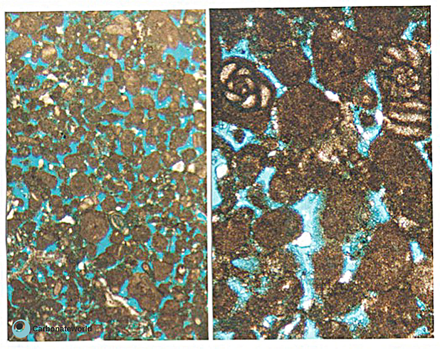 porosity-carbonateworld